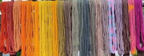 Yarn dyed with mushrooms